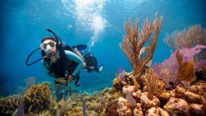 Why All Divers Should Get a Scuba Certificate