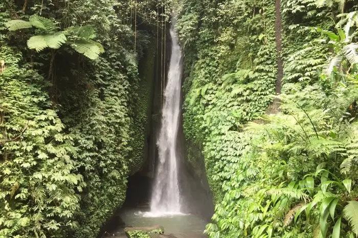 Most Beautiful Waterfalls in Bali